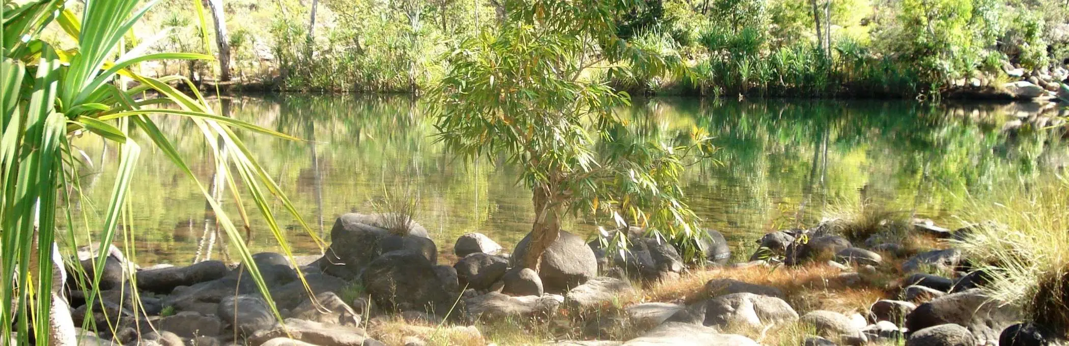 Karri forest pool along the Bibbulmun Track